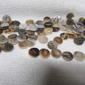 Brown Natural Shell, 11mm, 100 pcs, Doll, garment, craft