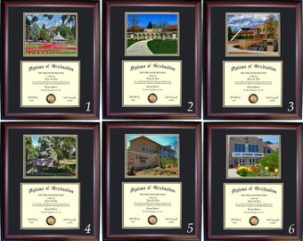 Colorado State Diploma Frame, CSU Graduation Gift, Free Shipping