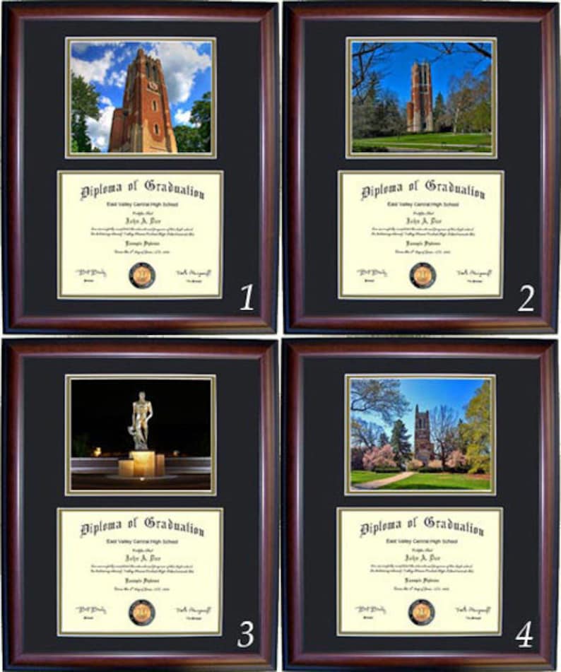Michigan State Diploma Frame MSU Graduation Gift Free Etsy