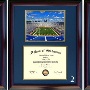 Michigan Frame University of Michigan Diploma Frames - Etsy