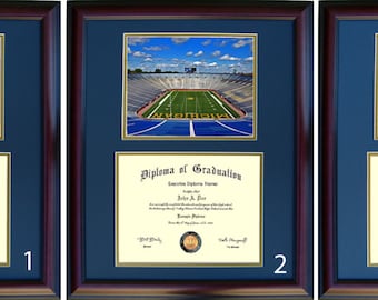 Michigan Diploma Frame, Wolverines Graduation Gift, Free Shipping