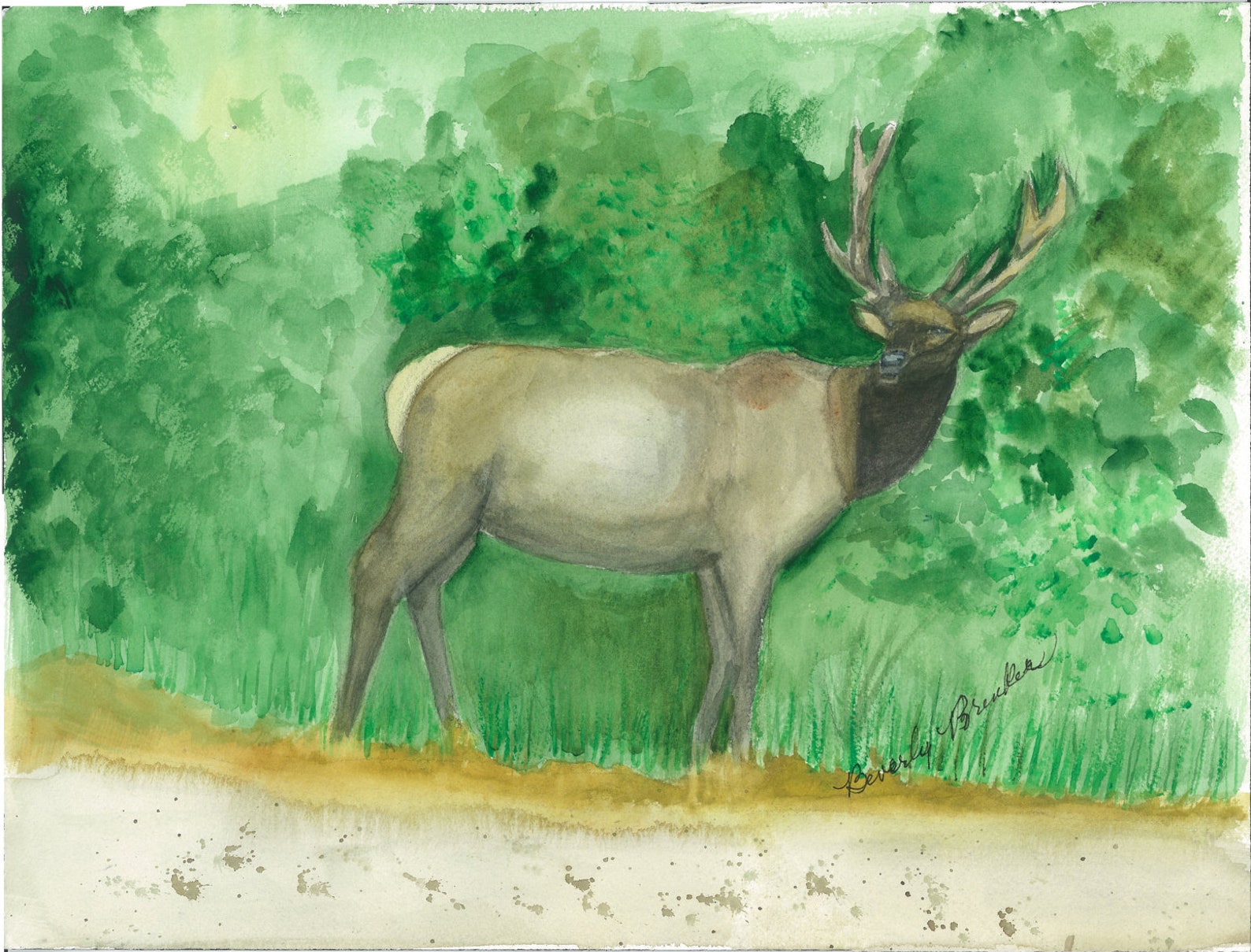 Elk Watercolor Painting, Elk Watercolor Painting Print, Elk Watercolor