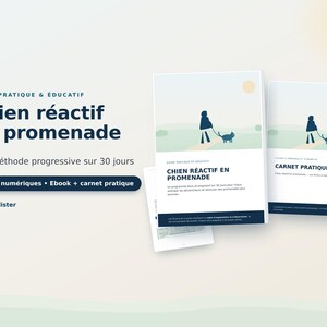 May include: Two digital PDF guides titled Chien réactif en promenade and Carnet pratique by T.Kallister. The covers feature a minimalist illustration of a person walking a dog on a leash under a sun, with dark blue text on a white background.
