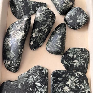 Peut inclure: Une collection de pierres noires polies présentant des motifs cristallins blancs en forme d'étoile dispersés sur leurs surfaces. Ces roches lisses et de formes irrégulières varient en taille et affichent une texture naturelle contrastée.