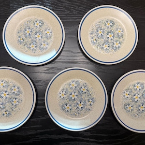 Temperware by Lenox Dewdrops bread and butter/ dessert plate set of 5