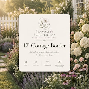 May include: A rectangular informational sign with a cream background featuring the text Bloom & Border Co. Beautiful Gardens Start With a Plan. 12' Cottage Border A timeless perennial planting plan for Zone 4 gardens, with icons for Zone 4, Full Sun, Perennial, and Pollinator Friendly.