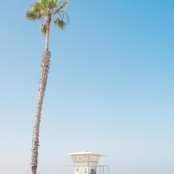 Palm Tree & Lifeguard Tower Print, San Diego Beach Photo, California Art