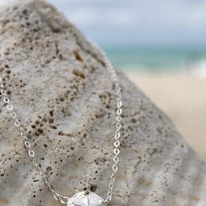 May include: A silver necklace featuring a sand dollar pendant. The pendant has a textured surface with a star design and several small holes. The necklace is displayed on a light-colored, textured rock, with a blurred beach and ocean background.