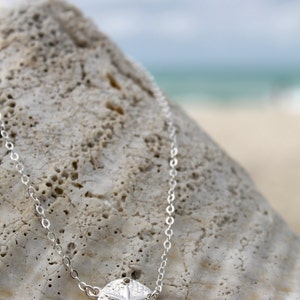 Silver sand dollar Necklace, 925 sterling silver, beach wedding, sea life, simple everyday jewelry, summer, shell, layering necklace image 3