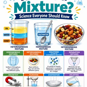 Könnte beinhalten: Ein Lehrplakat mit dem Titel What Is a Mixture? Science Everyone Should Know. Es zeigt Illustrationen von heterogenen und homogenen Gemischen, darunter Öl, Wasser, Honig, Salzwasser und Nüsse, sowie Diagramme zu Trennverfahren.
