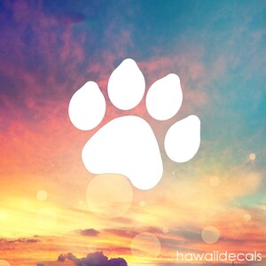 May include: White paw print silhouette against a colorful sunset sky with clouds. The paw print is centered in the image and is the main focus.