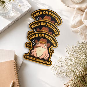 May include: A stack of three embroidered patches featuring a light pink frog wearing a brown cowboy hat and smoking a cigar. The text reads HOLD ON PARTNER at the top and I'M OVERSTIMULATED at the bottom in yellow capital letters on a black background.
