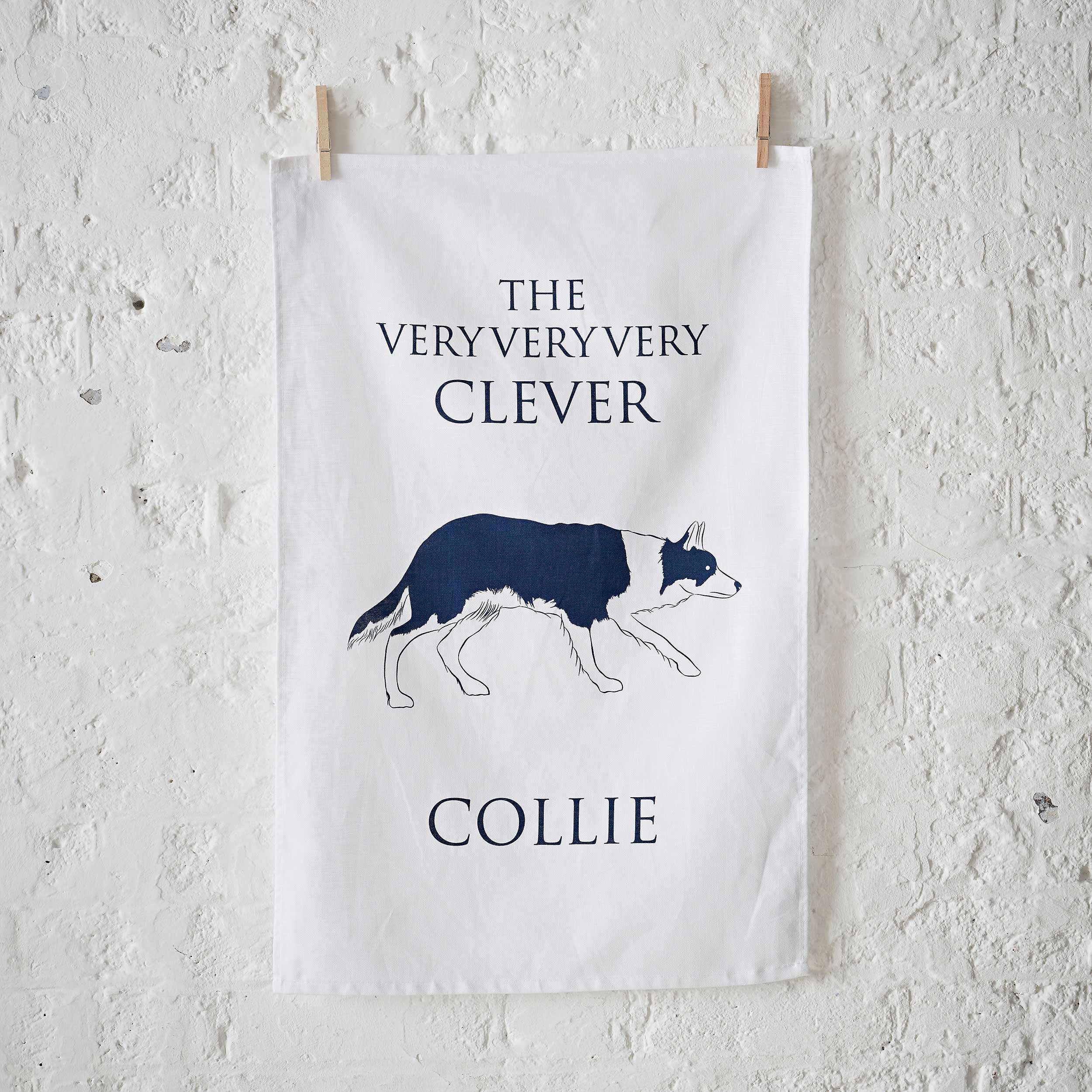 border collie presents