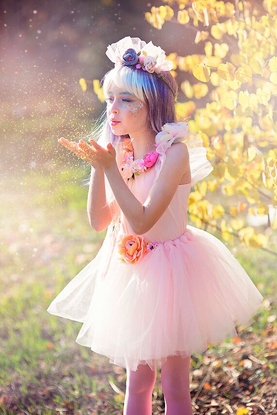 tutu fairy dress