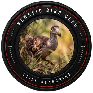 May include: A circular emblem featuring a dodo bird in the center, framed by a black camera lens border with red accents. The text NEMESIS BIRD CLUB is printed at the top, and STILL SEARCHING is printed at the bottom in white capital letters.