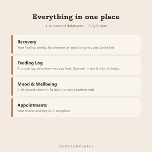 Postpartum Recovery Planner Notion Template – Daily Care, Mood, Appointments (Digital Download) image 3