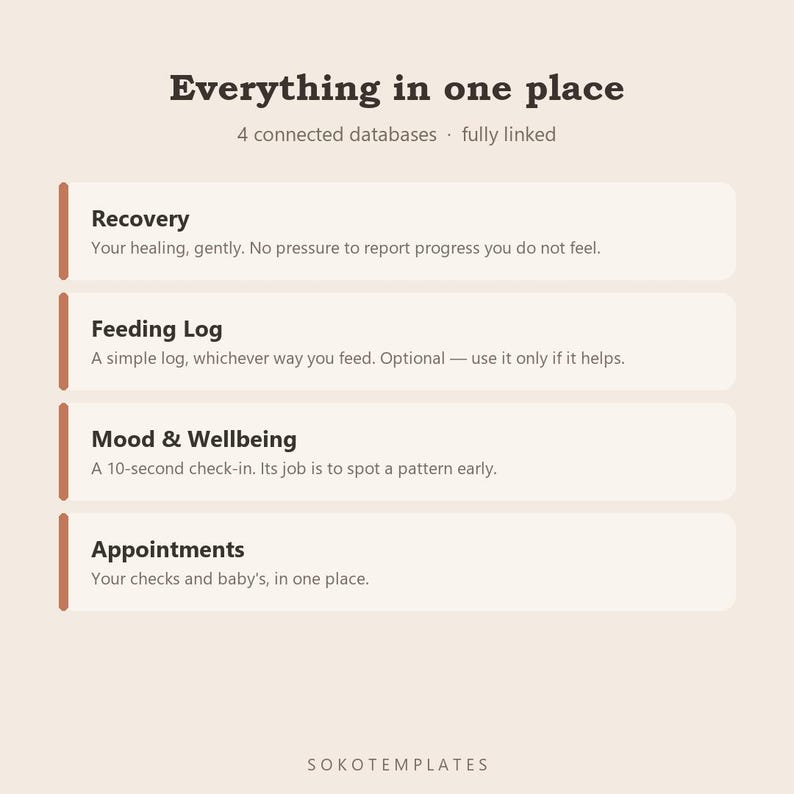 Postpartum Recovery Planner Notion Template – Daily Care, Mood, Appointments (Digital Download) image 3