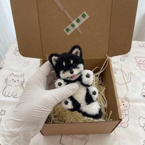 Könnte beinhalten: Eine kleine, flauschige, schwarz-weiße Plüschhund-Figur mit rosa Zunge, gehalten über einer braunen Pappschachtel mit Papierstreifen. Der Deckel ist mit einem transparenten Kunststoffkamm und einem Klebestreifen mit grünen Kleeblättern versehen.