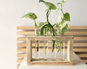 Propagation Station 4 Glass Tubes Glass Vases - Wood Hanging Planter - Handmade Great gift idea