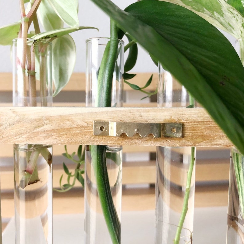 Propagation Station 4 Glass Tubes Glass Vases Wood Hanging Etsy New