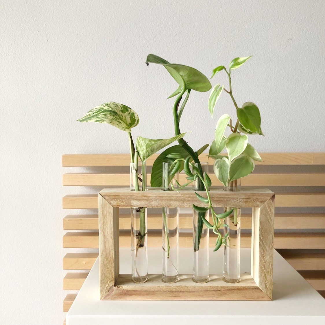 Wall Hangings Home Décor Wall Planter Wood Hanging Wood Bamboo Wall