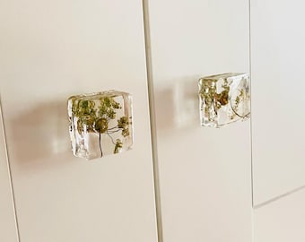 Drawer Knobs with Wild Chervil Flowers in Crystal Clear Resin