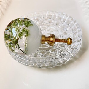 May include: A spherical cabinet knob featuring a clear resin dome with an embedded green botanical specimen and a solid white base. The knob is attached to a metallic gold-toned threaded bolt and mounting hardware, designed for furniture installation.