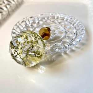 K&ouml;nnte beinhalten: Ein runder M&ouml;belknopf aus klarem Harz mit eingebetteten getrockneten gr&uuml;nen Schleierkrautbl&uuml;ten. Der Knopf hat einen goldfarbenen Metallschraubsockel und liegt auf einer klaren, kreisf&ouml;rmigen, strukturierten Glasschale mit geometrischem Muster.