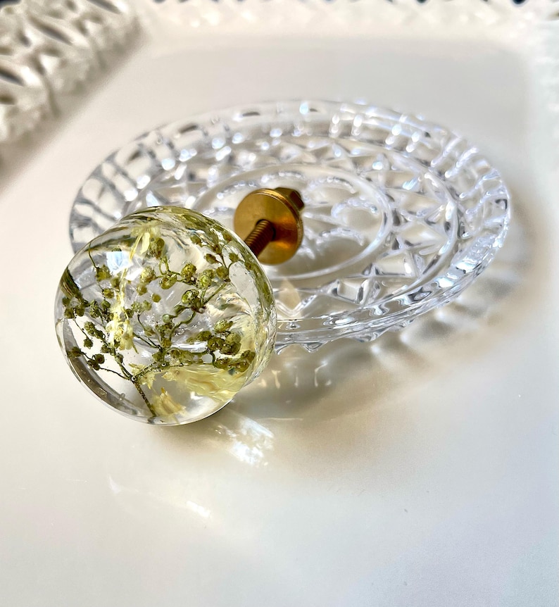 K&ouml;nnte beinhalten: Ein runder M&ouml;belknopf aus klarem Harz mit eingebetteten getrockneten gr&uuml;nen Schleierkrautbl&uuml;ten. Der Knopf hat einen goldfarbenen Metallschraubsockel und liegt auf einer klaren, kreisf&ouml;rmigen, strukturierten Glasschale mit geometrischem Muster.