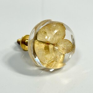 Puede incluir: Un tirador de mueble redondo con una c&uacute;pula esf&eacute;rica de resina transparente que encapsula una flor de hortensia seca de color amarillo p&aacute;lido. El tirador est&aacute; unido a una base de metal dorado y un tornillo roscado, formando una pieza funcional.