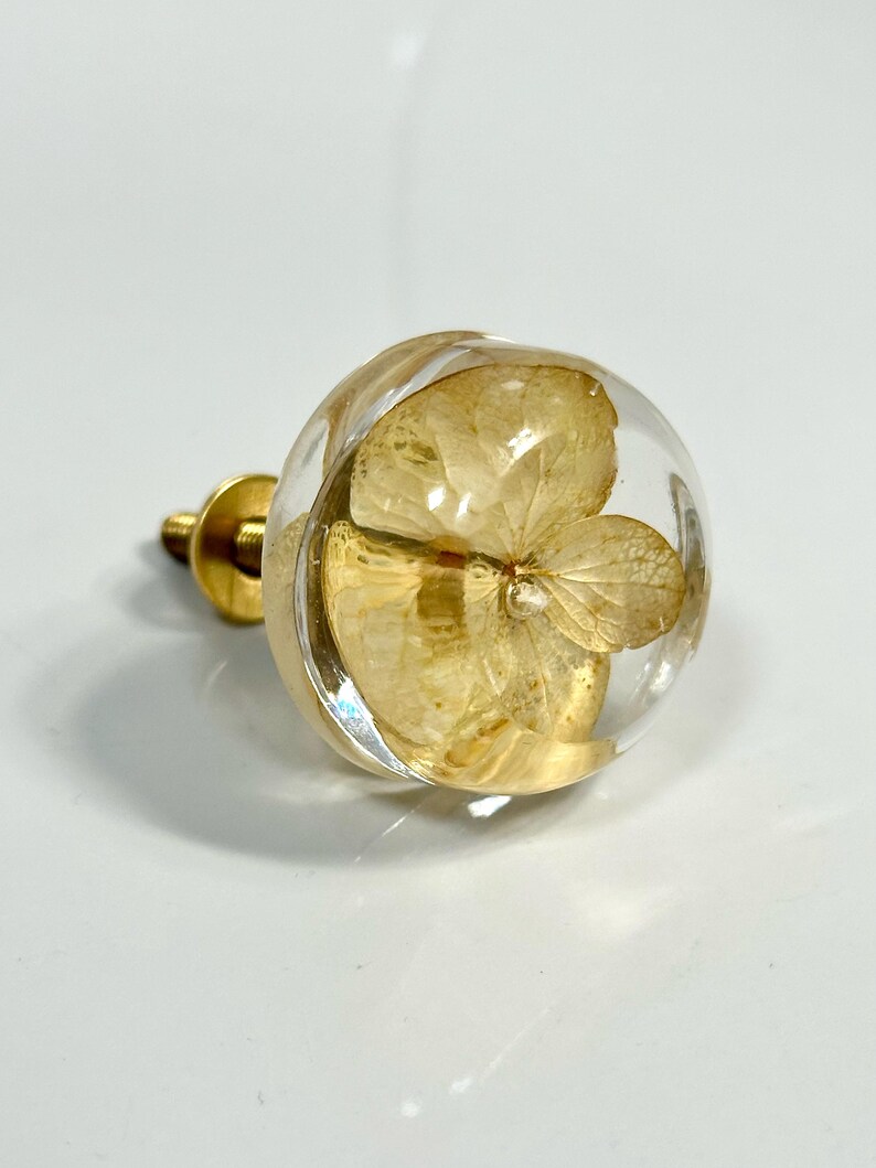 Puede incluir: Un tirador de mueble redondo con una c&uacute;pula esf&eacute;rica de resina transparente que encapsula una flor de hortensia seca de color amarillo p&aacute;lido. El tirador est&aacute; unido a una base de metal dorado y un tornillo roscado, formando una pieza funcional.