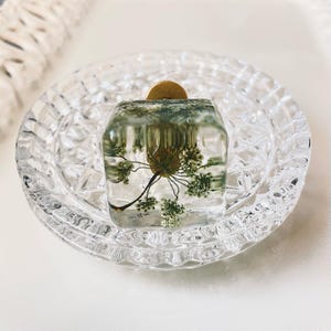 Puede incluir: Un pomo cuadrado de resina transparente con una planta seca de color verde y blanco incrustada. El pomo tiene una base de metal dorado y est&aacute; colocado dentro de un plato redondo de cristal transparente con un patr&oacute;n geom&eacute;trico facetado.