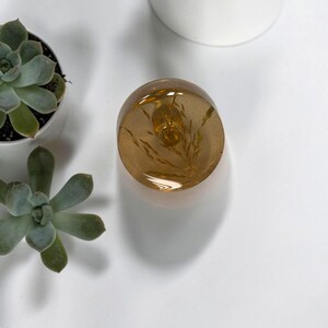 May include: A circular, amber-colored resin paperweight or decorative object containing a dried, golden-brown wheat stalk or grass sprig embedded within its translucent, smooth, and polished surface, viewed from directly above.