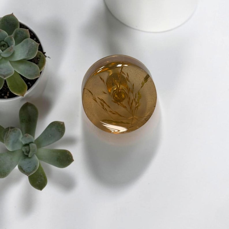 May include: A circular, amber-colored resin paperweight or decorative object containing a dried, golden-brown wheat stalk or grass sprig embedded within its translucent, smooth, and polished surface, viewed from directly above.