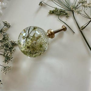 May include: A spherical cabinet knob made of clear resin containing preserved white Queen Anne's lace flowers. The knob features a brass-toned metal base and a threaded screw attachment, providing a functional and decorative hardware element.