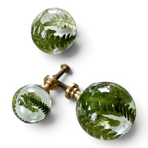 K&ouml;nnte beinhalten: Drei kugelf&ouml;rmige Schrankkn&ouml;pfe aus transparentem Material mit eingebetteten gr&uuml;nen Farnbl&auml;ttern. Jeder Knopf verf&uuml;gt &uuml;ber einen goldfarbenen Metallsockel und eine Gewindeschraube, die ein botanisches Design in der glatten, runden Oberfl&auml;che zeigen.