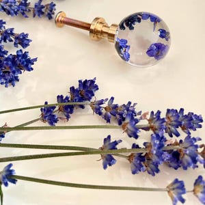 May include: A spherical clear resin cabinet knob containing dried purple lavender flowers, attached to a gold-toned metal base and threaded screw. The knob is surrounded by several sprigs of fresh purple lavender flowers.