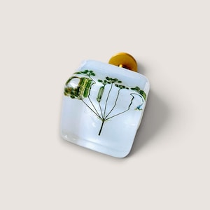 May include: A square-shaped cabinet knob made of clear resin, featuring a pressed green botanical plant specimen embedded inside. The knob has a smooth, glossy finish and is attached to a circular gold-toned metal base for mounting purposes.