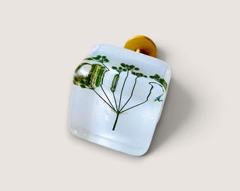 Drawer Knobs with Real Wild Chervil Flowers in Resin
