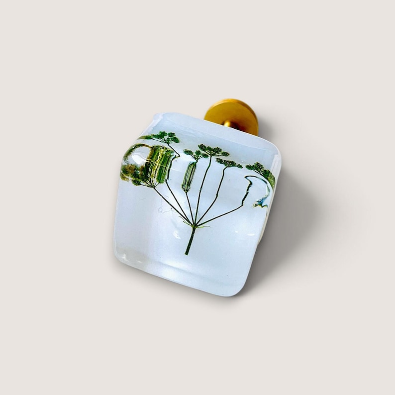 May include: A square-shaped cabinet knob made of clear resin, featuring a pressed green botanical plant specimen embedded inside. The knob has a smooth, glossy finish and is attached to a circular gold-toned metal base for mounting purposes.