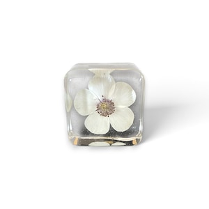 May include: A clear, cube-shaped resin paperweight containing a single pressed white flower with five rounded petals and a dark, textured center. The transparent material allows for a clear view of the botanical specimen suspended inside the block.