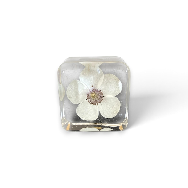 May include: A clear, cube-shaped resin paperweight containing a single pressed white flower with five rounded petals and a dark, textured center. The transparent material allows for a clear view of the botanical specimen suspended inside the block.