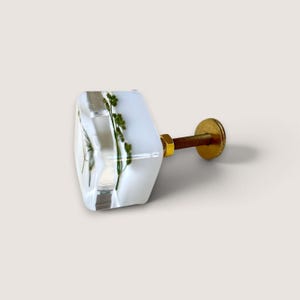 May include: A square cabinet knob made of clear resin with embedded green botanical elements. The knob features a gold-toned metal screw and nut attachment extending from the back, providing a functional hardware piece for furniture drawers.