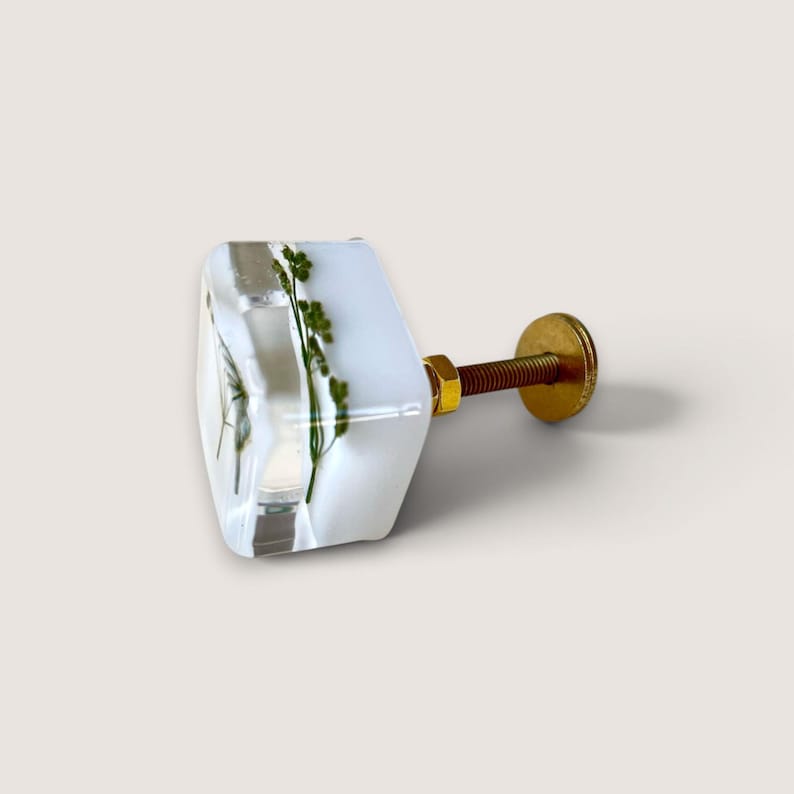 May include: A square cabinet knob made of clear resin with embedded green botanical elements. The knob features a gold-toned metal screw and nut attachment extending from the back, providing a functional hardware piece for furniture drawers.