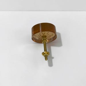 May include: A round, amber-colored resin cabinet knob featuring an embedded delicate gold-toned botanical leaf pattern. The knob is attached to a threaded brass-colored metal bolt with two matching circular nuts for secure installation.