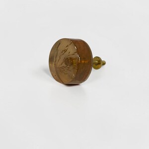 May include: A round, amber-colored resin cabinet knob featuring an embedded dried grass botanical element. The knob has a smooth, glossy finish and is attached to a brass-toned metal screw and nut hardware component for installation.