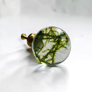 May include: A spherical cabinet knob featuring a clear resin dome with embedded green moss-like organic matter, attached to a polished brass-colored metal base with a threaded screw extending from the back for mounting purposes.