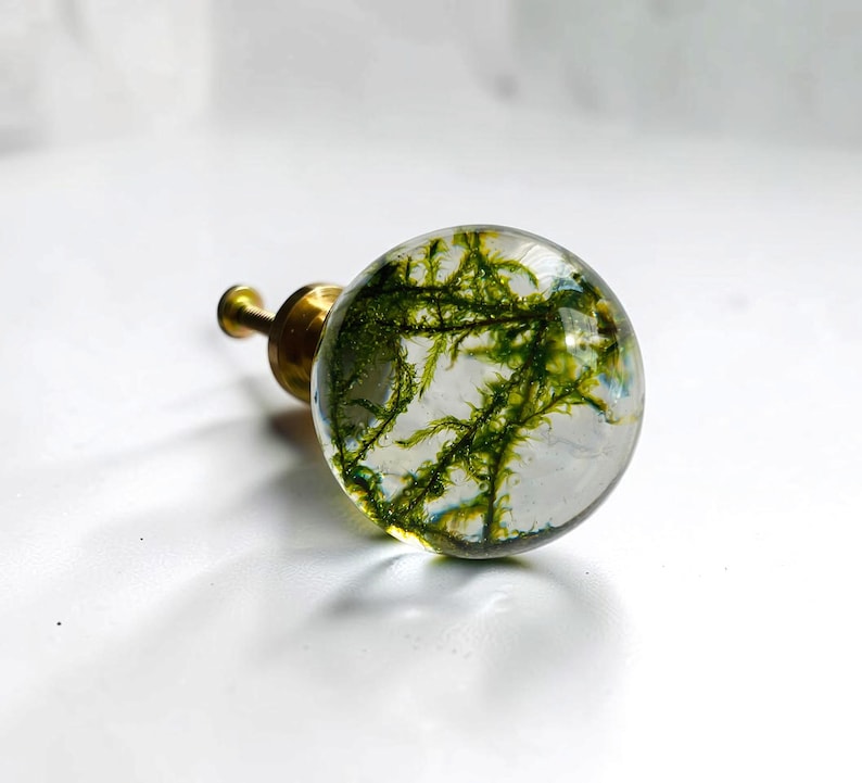 May include: A spherical cabinet knob featuring a clear resin dome with embedded green moss-like organic matter, attached to a polished brass-colored metal base with a threaded screw extending from the back for mounting purposes.