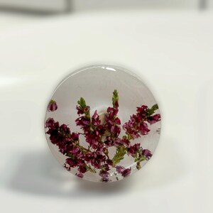 Puede incluir: Un pomo circular con un cuerpo de resina transparente y clara que contiene flores de brezo secas de color p&uacute;rpura y rosa. El pomo tiene una superficie lisa y pulida con una base cil&iacute;ndrica visible en el centro.