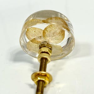 Puede incluir: Un pomo redondo para muebles hecho de resina transparente que contiene p&eacute;talos de hortensia secos de color beige. El pomo cuenta con un perno de metal dorado con dos tuercas hexagonales a juego y una arandela circular en la base.